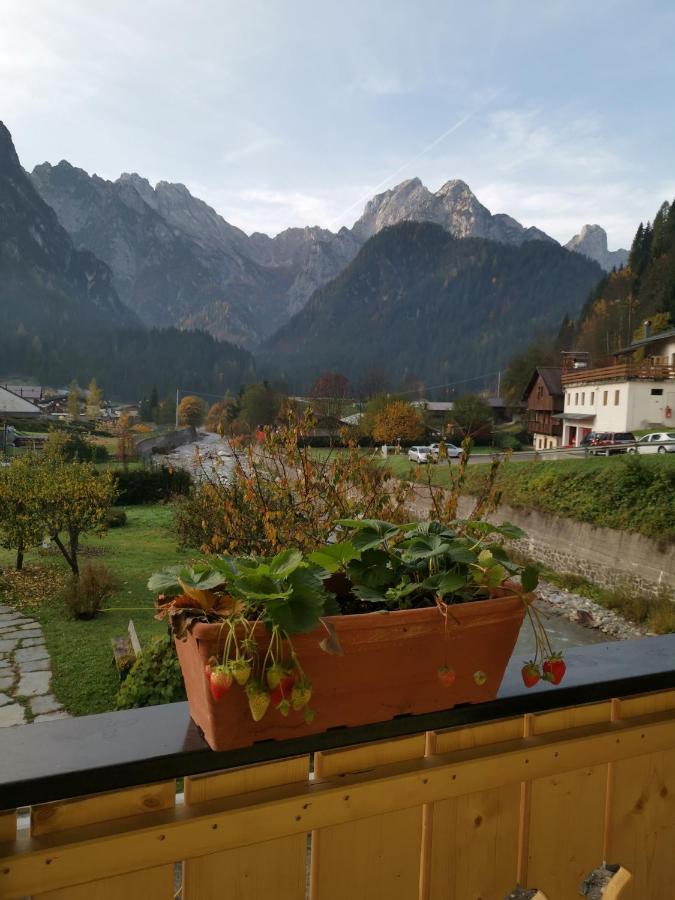 All'Amicizia Santo Stefano Di Cadore Dış mekan fotoğraf